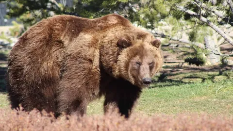 皇冠体育app下载